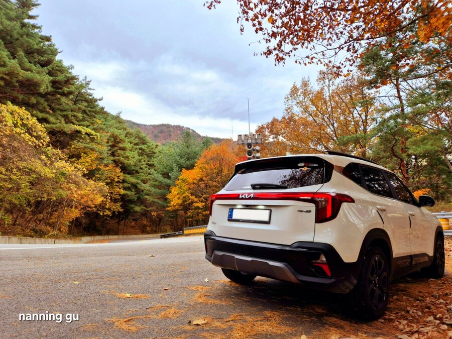 The New Seltos 📷_4.jpg