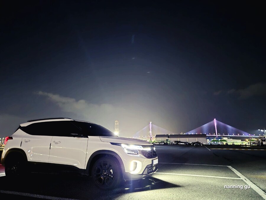 The New Seltos 📷_12.jpg