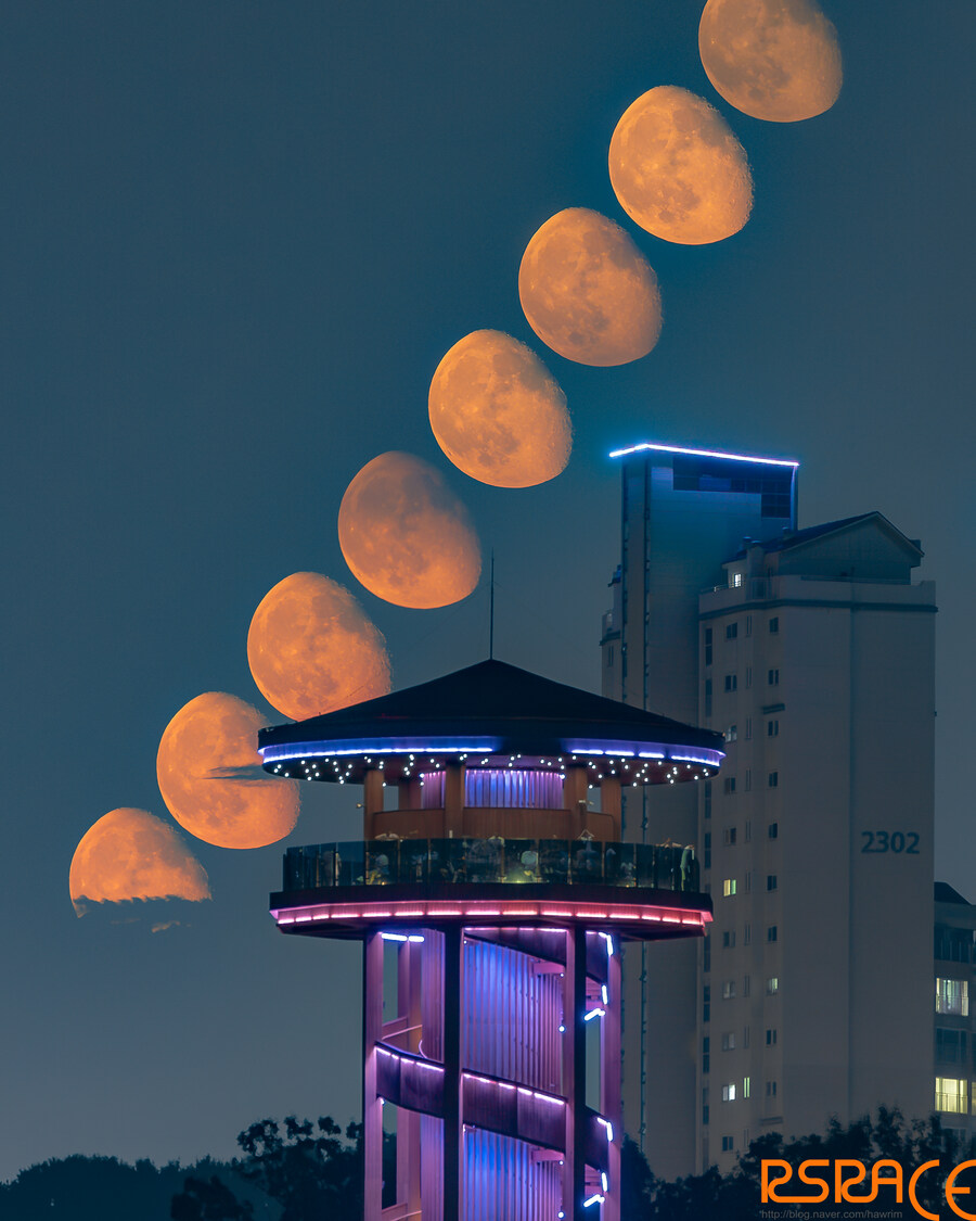 올해 찍은 밤산책 사진들 mk2 (스압)_5.jpg