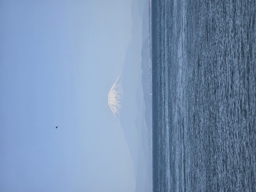 도쿄여행 후지산 뷰 당일치기 스팟들_16.jpg