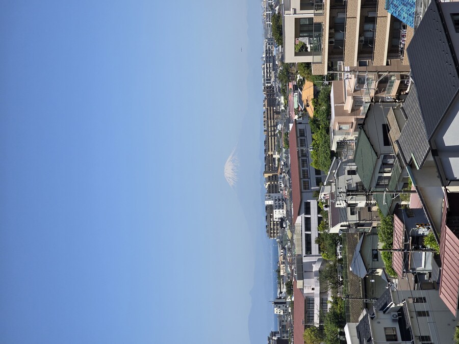 도쿄여행 후지산 뷰 당일치기 스팟들_15.jpg