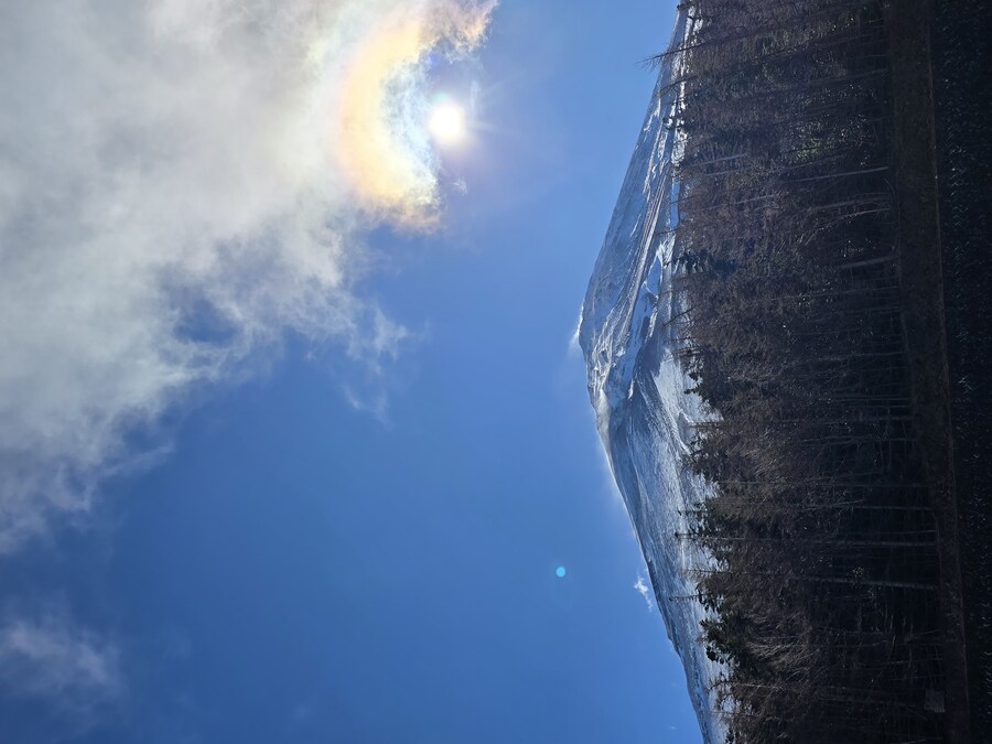 도쿄여행 후지산 뷰 당일치기 스팟들_21.jpg