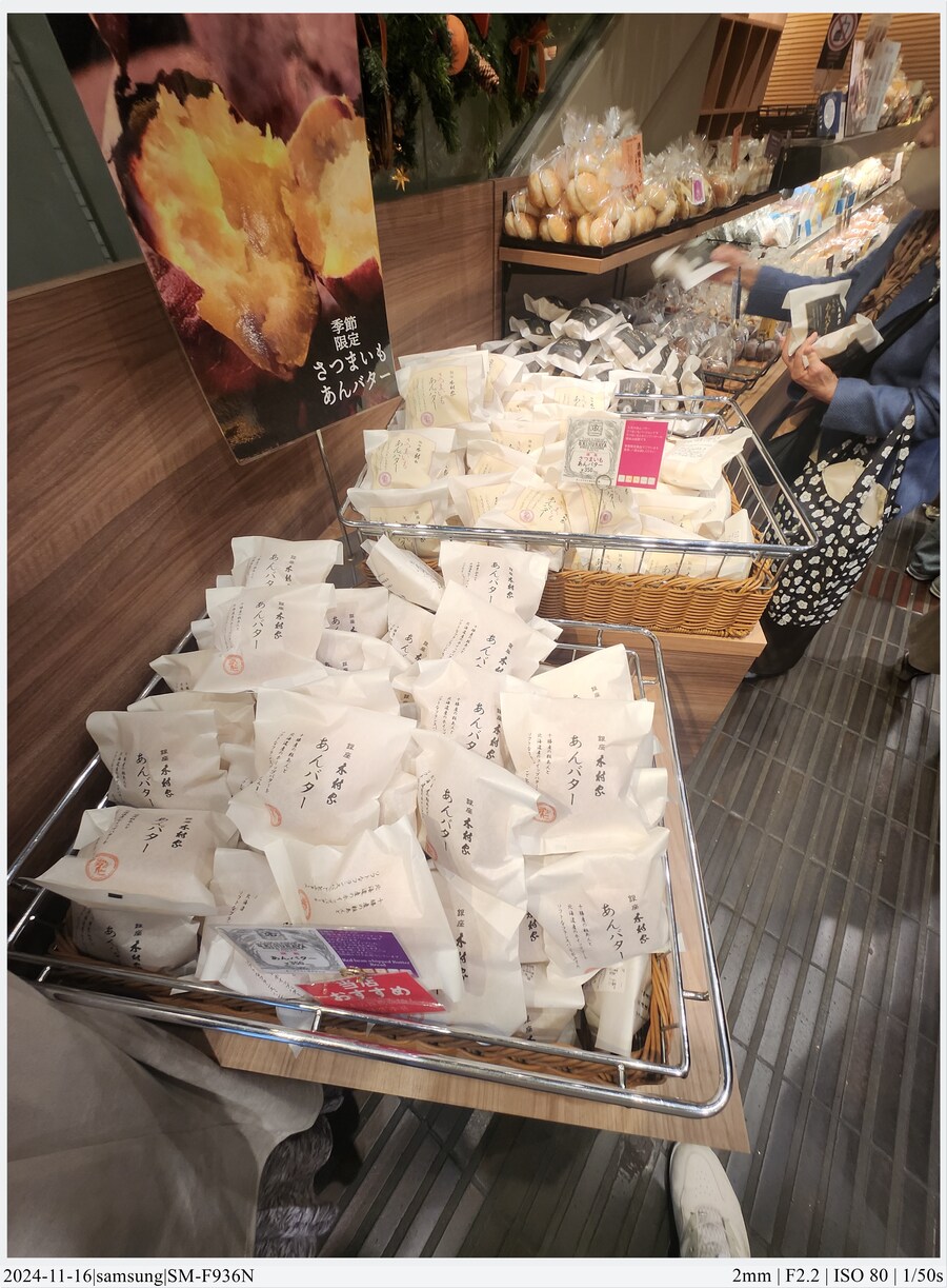 도쿄 여행기[24.11.16~21] - 1일차, 도쿄 경마장_18.jpg