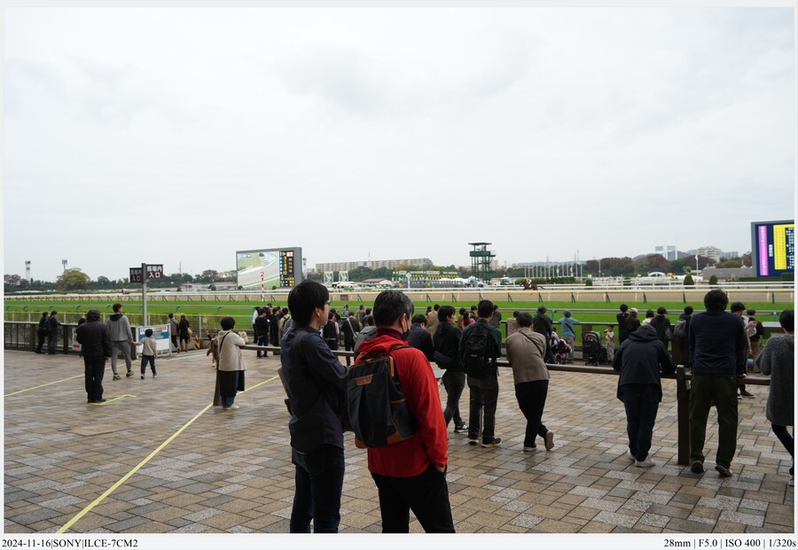 도쿄 여행기[24.11.16~21] - 1일차, 도쿄 경마장_38.jpg