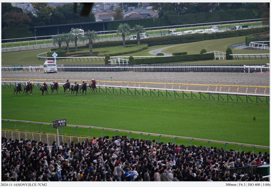 도쿄 여행기[24.11.16~21] - 1일차, 도쿄 경마장_41.jpg