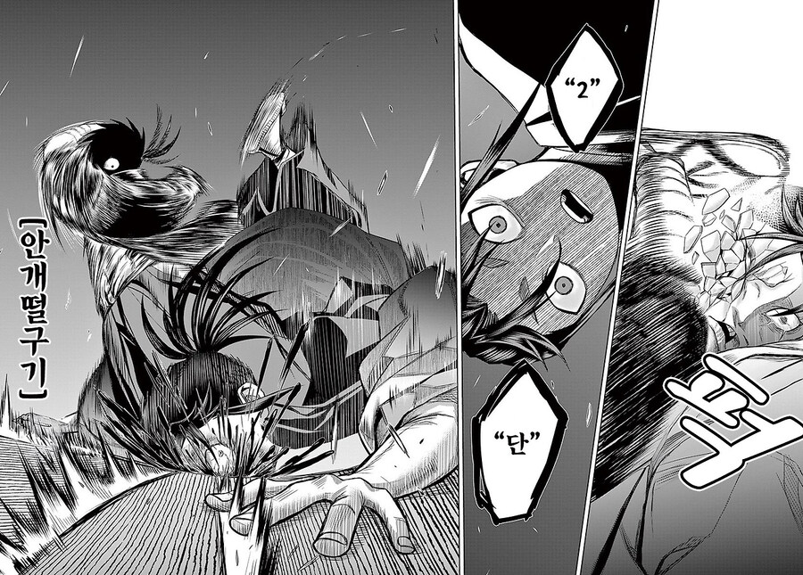 그림자와 그림자 만화 3부작 완결까지_86.jpg