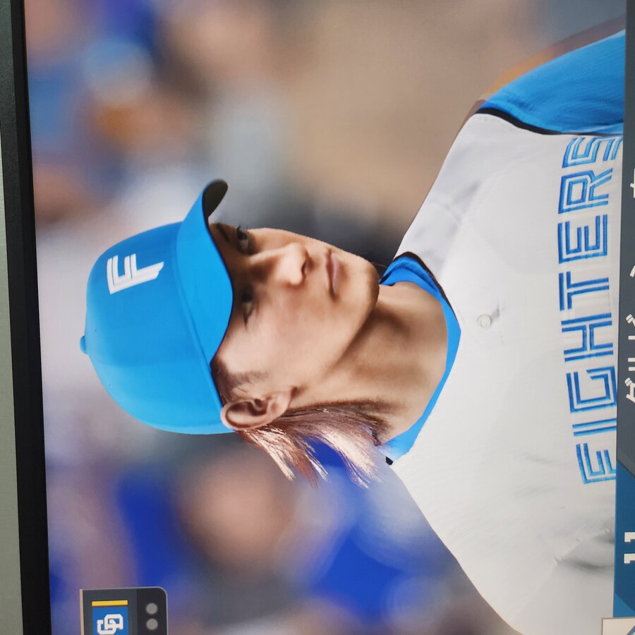 아라이바 키스톤콤비_3.jpg