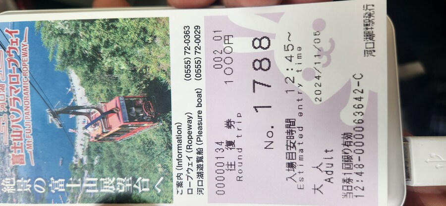 처음으로 혼자 떠난 해외여행 - 도쿄 4편 후지산 배경 문제의 그 장소를 가보다_32.jpg