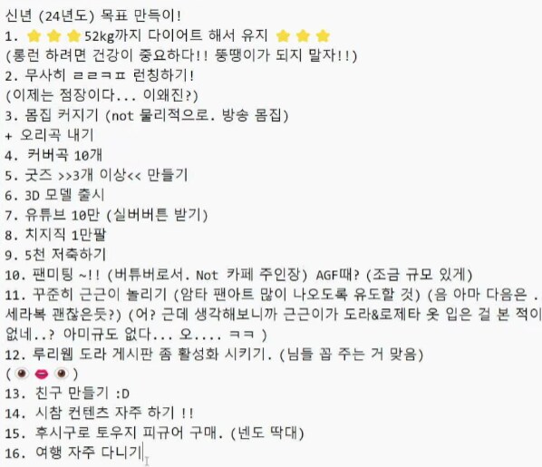 버튜버) 도라가 세웠던 2024년 목표_1.png