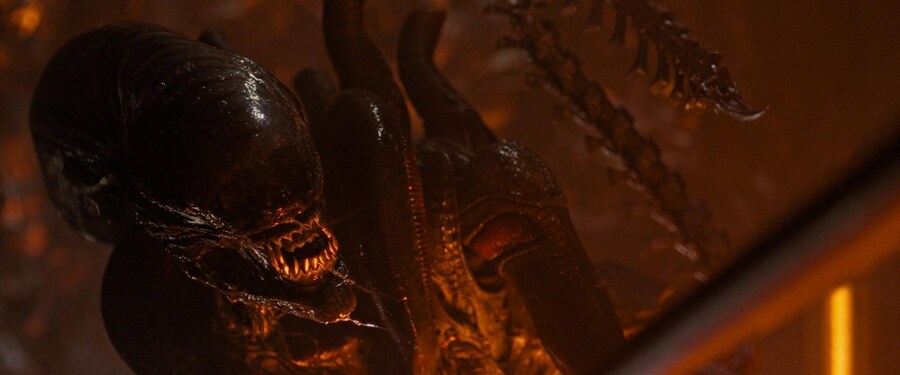 [스포일러] 영화 '에일리언: 로물루스' 65종 스틸_52.jpg