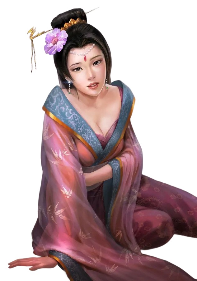 삼국지 14 번씨 리터칭_1.png