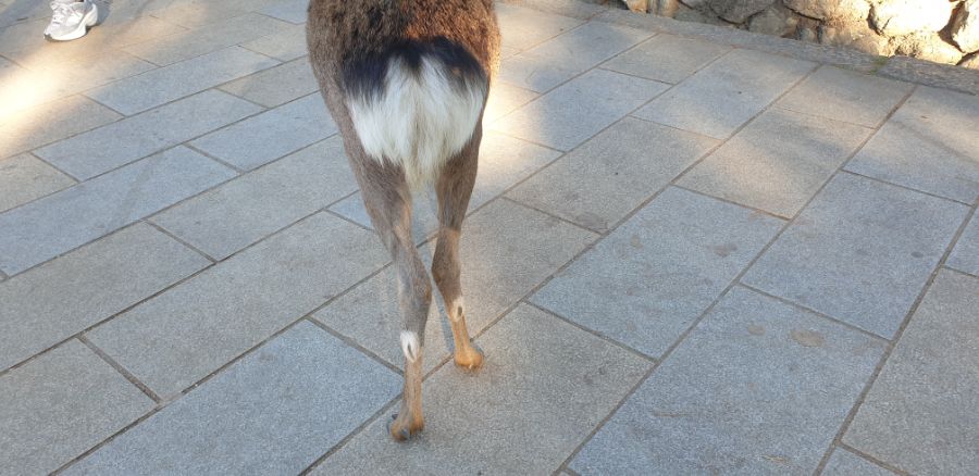 오사카 여행 1번째 이야기=오사카 첫째날은 그냥 무조건~돌아다녀보기-스압-_37.jpg