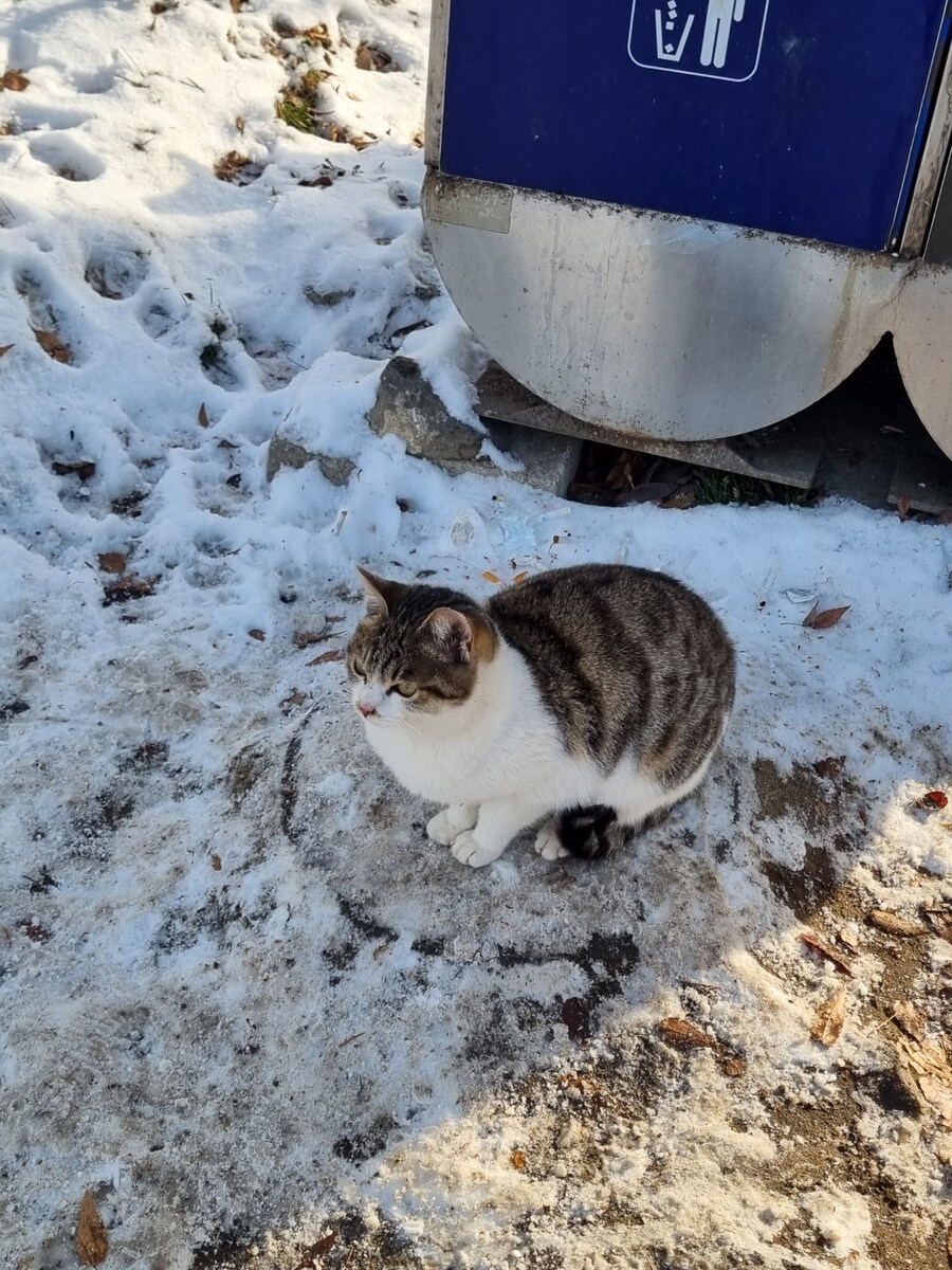 쓰레기통 관리냥_1.jpg