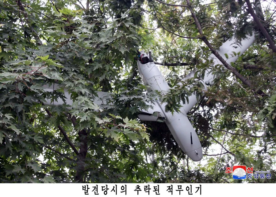 군사) 지금 생각하면 모든 조각이 맞춰지는 사건_1.webp