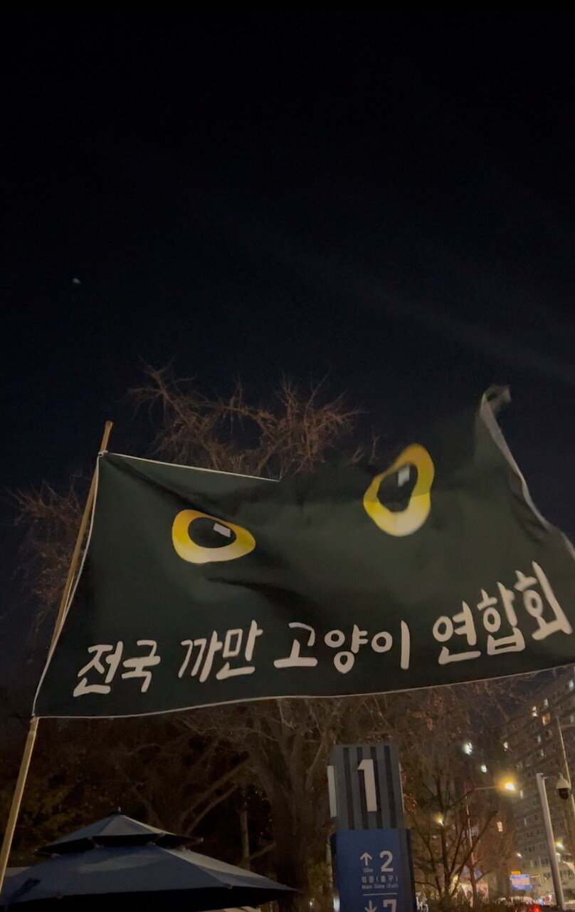 오늘 마지막까지 있었던 깃발들_2.jpg