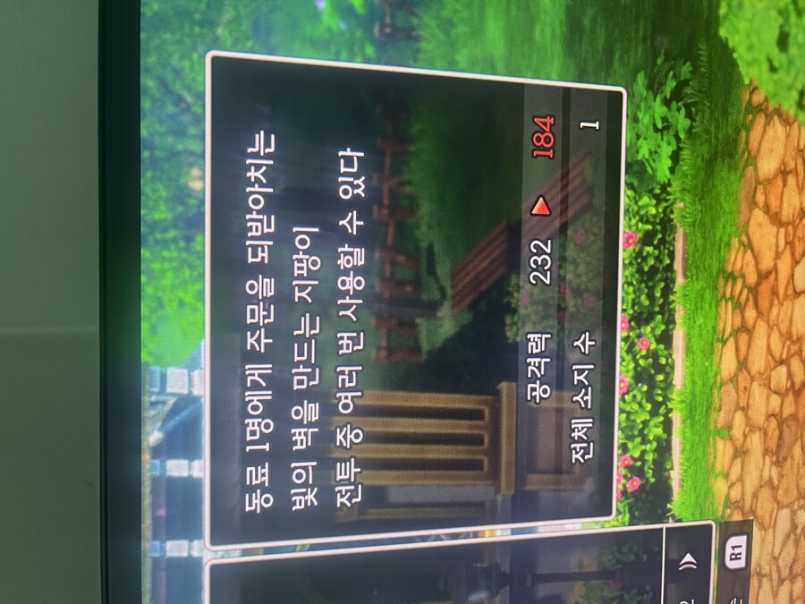 드퀘 초보 문의_1.jpg