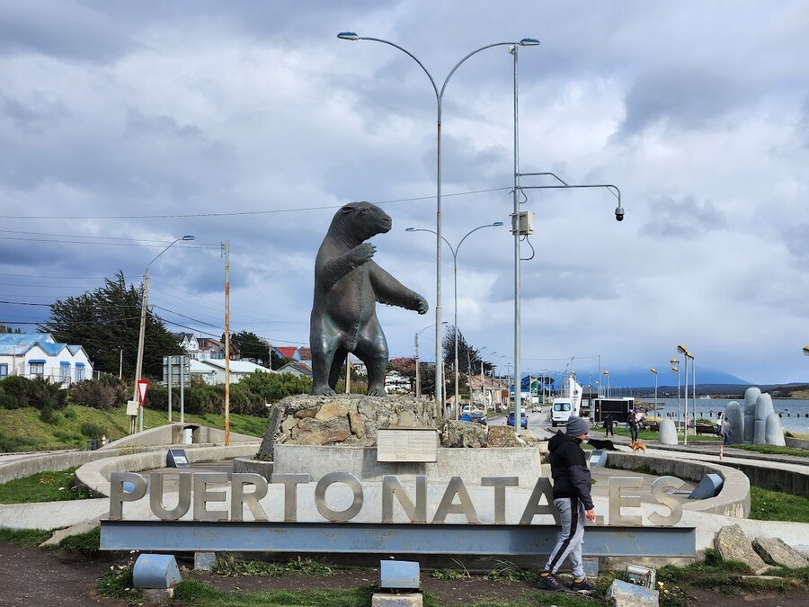 40대 아재의 남미여행 - 파타고니아 - 토레스 델 파이네_10.jpg