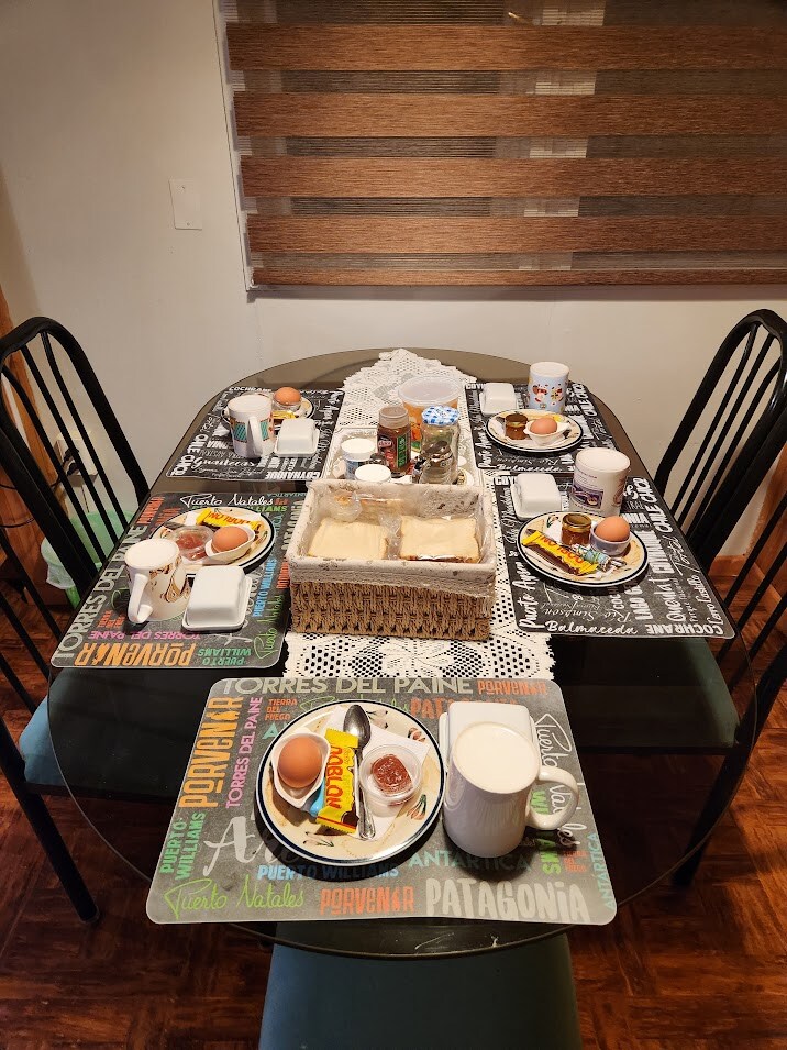 40대 아재의 남미여행 - 파타고니아 - 토레스 델 파이네_17.jpg