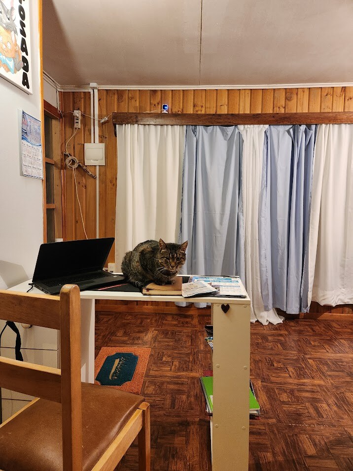 40대 아재의 남미여행 - 파타고니아 - 토레스 델 파이네_19.jpg