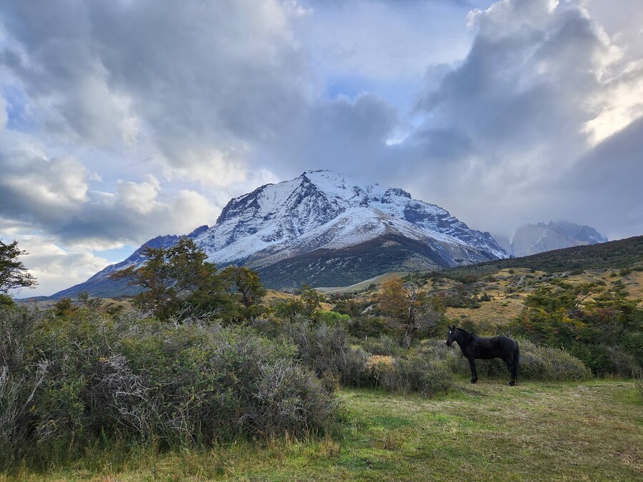 40대 아재의 남미여행 - 파타고니아 - 토레스 델 파이네_44.jpg
