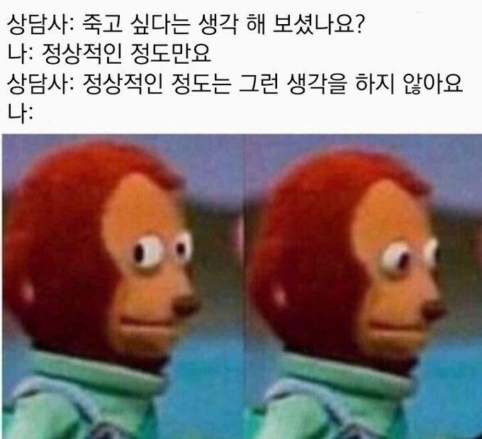 우울) 가벼운 우울증 밈 모음_11.jpg