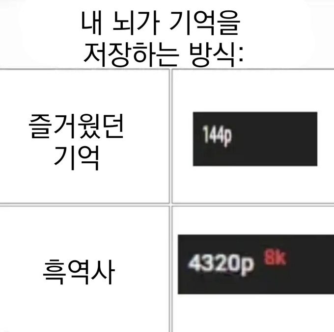 우울) 가벼운 우울증 밈 모음_16.jpg