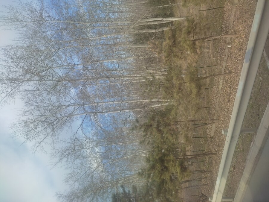 북경여행 1_43.jpg