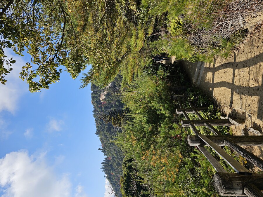 [수기] 일본 세토내해 늦가을 단풍여행 - 2.미야지마-히로시마_27.jpg