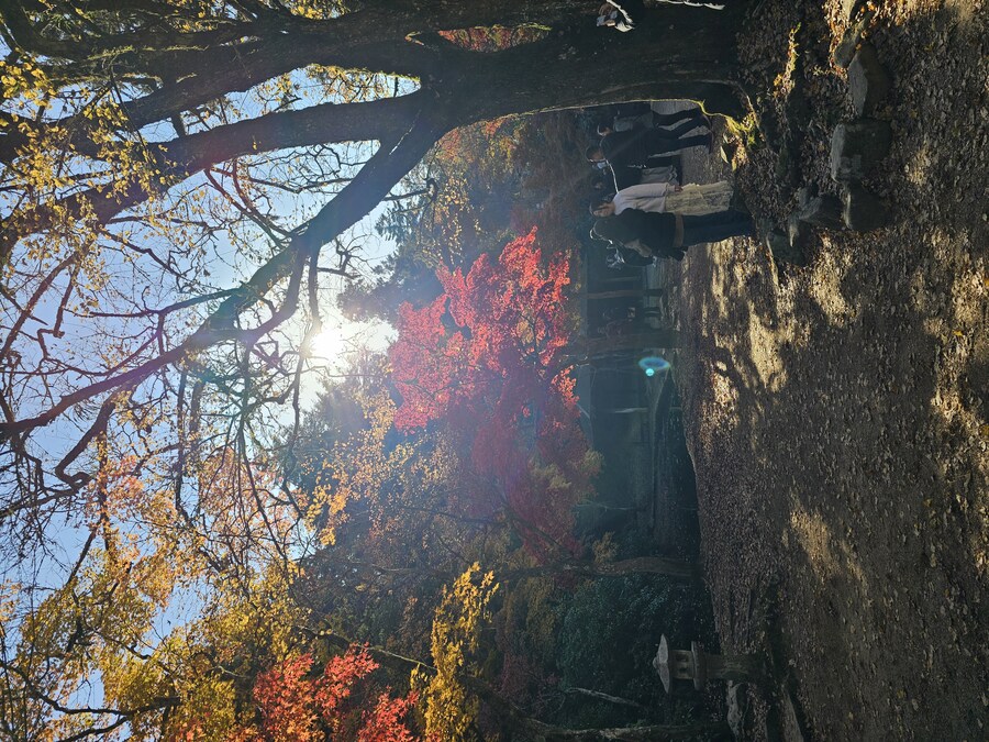 [수기] 일본 세토내해 늦가을 단풍여행 - 2.미야지마-히로시마_36.jpg