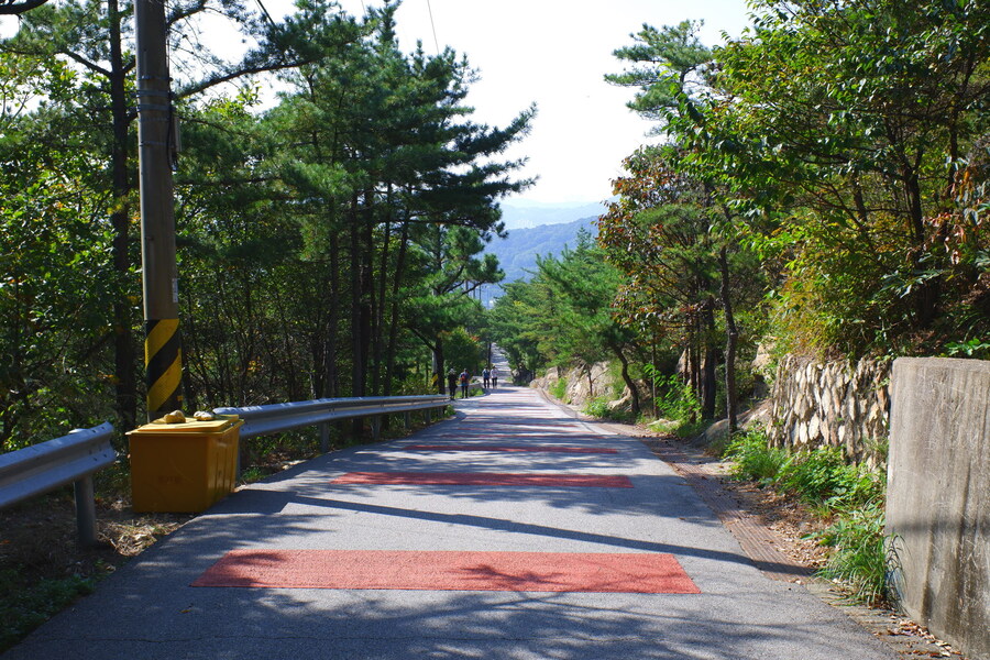 삼성산에 오르다 그리고 예술공원을 걷다_11.jpg