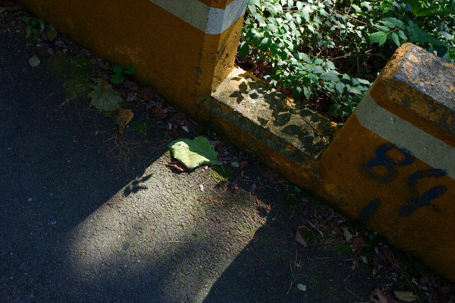 삼성산에 오르다 그리고 예술공원을 걷다_14.jpg