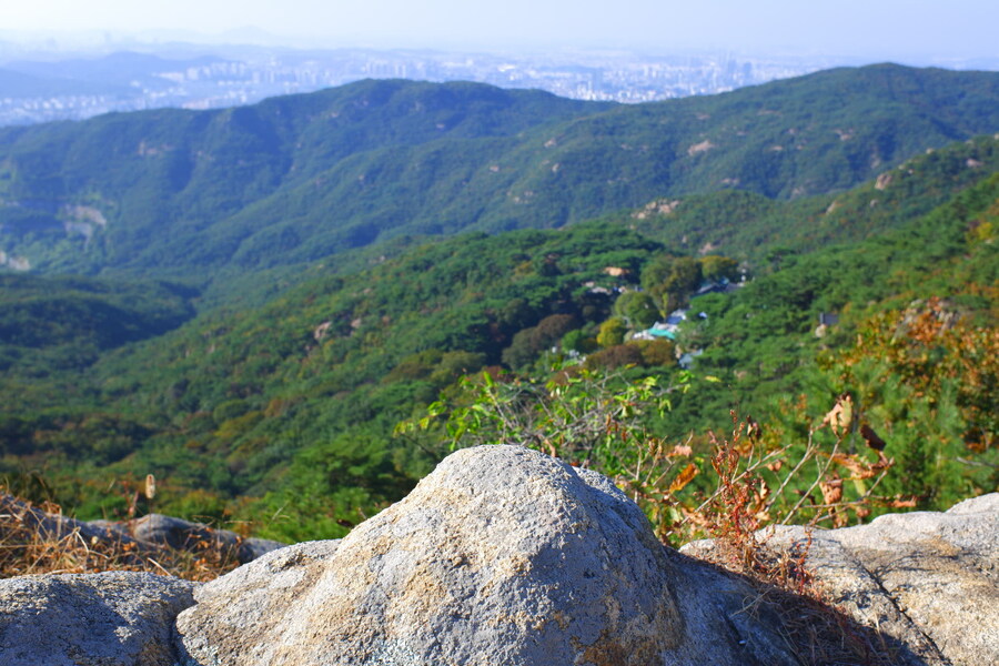 삼성산에 오르다 그리고 예술공원을 걷다_33.jpg