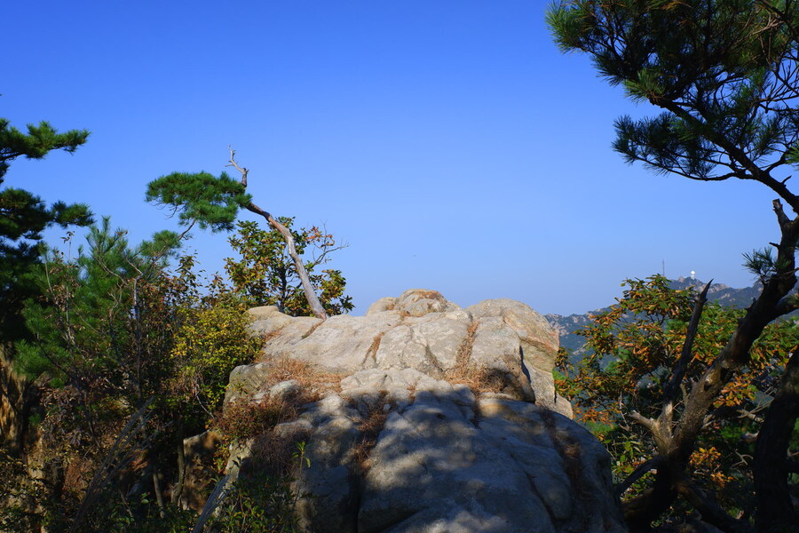 삼성산에 오르다 그리고 예술공원을 걷다_42.jpg