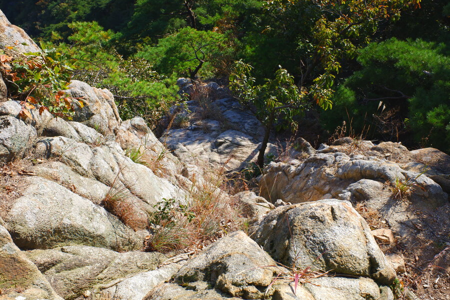 삼성산에 오르다 그리고 예술공원을 걷다_45.jpg