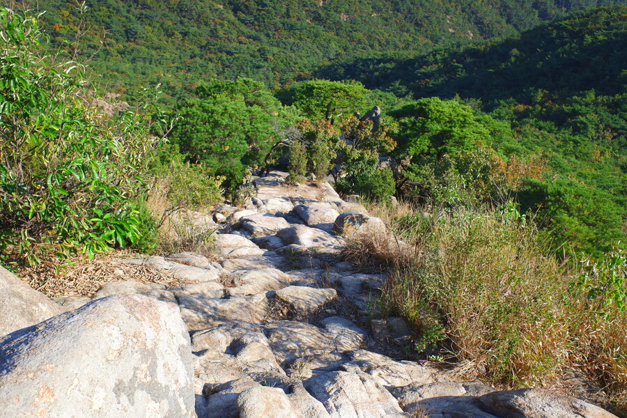 삼성산에 오르다 그리고 예술공원을 걷다_48.jpg