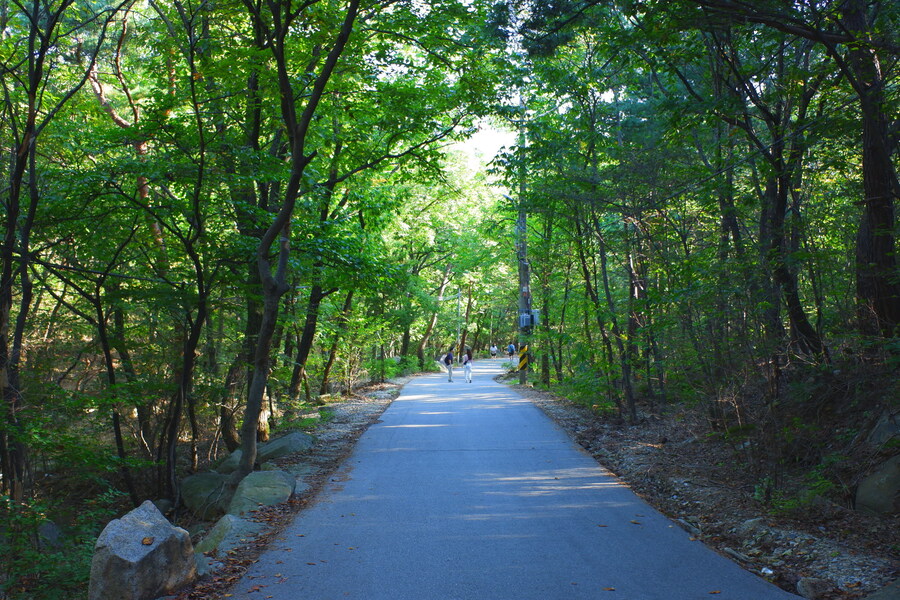 삼성산에 오르다 그리고 예술공원을 걷다_51.jpg
