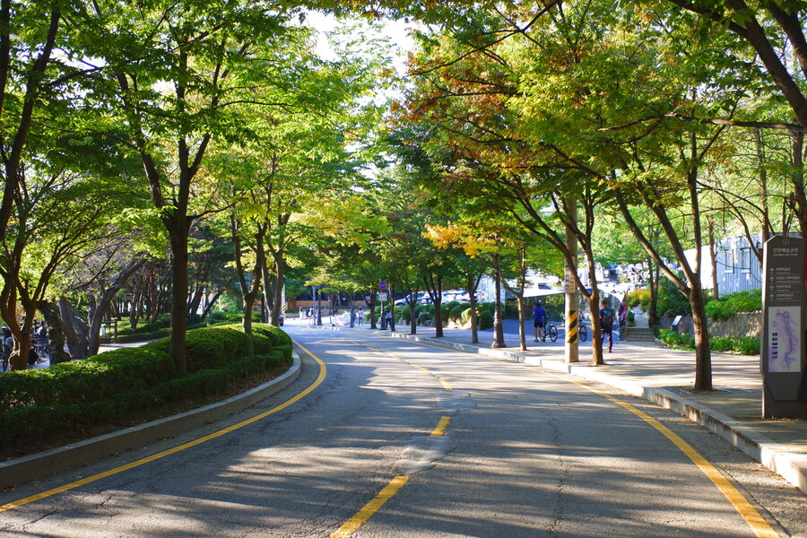 삼성산에 오르다 그리고 예술공원을 걷다_55.jpg