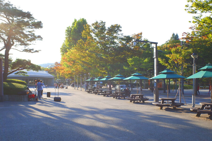 삼성산에 오르다 그리고 예술공원을 걷다_59.jpg