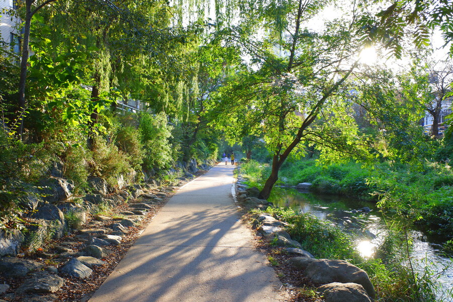 삼성산에 오르다 그리고 예술공원을 걷다_69.jpg