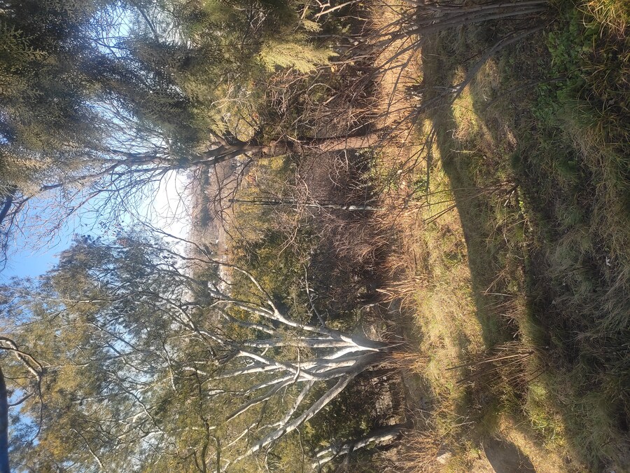 북경 여행 5_19.jpg