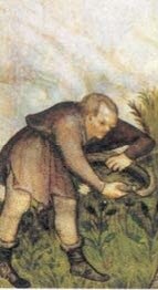 "사제님, 영지는 있는데 성이 없는 귀족도 있어요?"_6.jpg