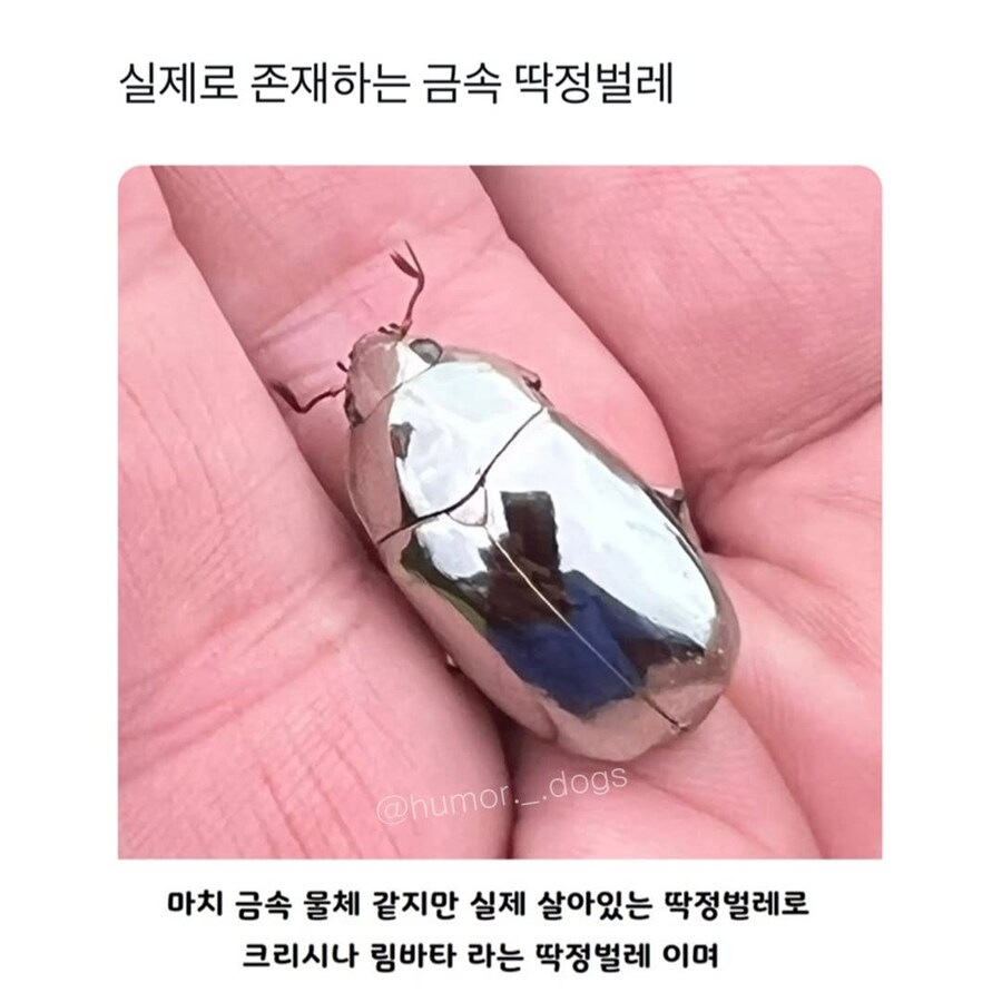불꽃 4배_1.jpg
