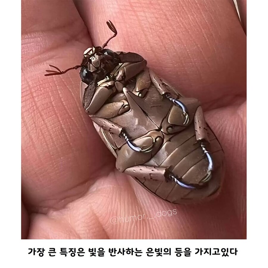 불꽃 4배_3.jpg