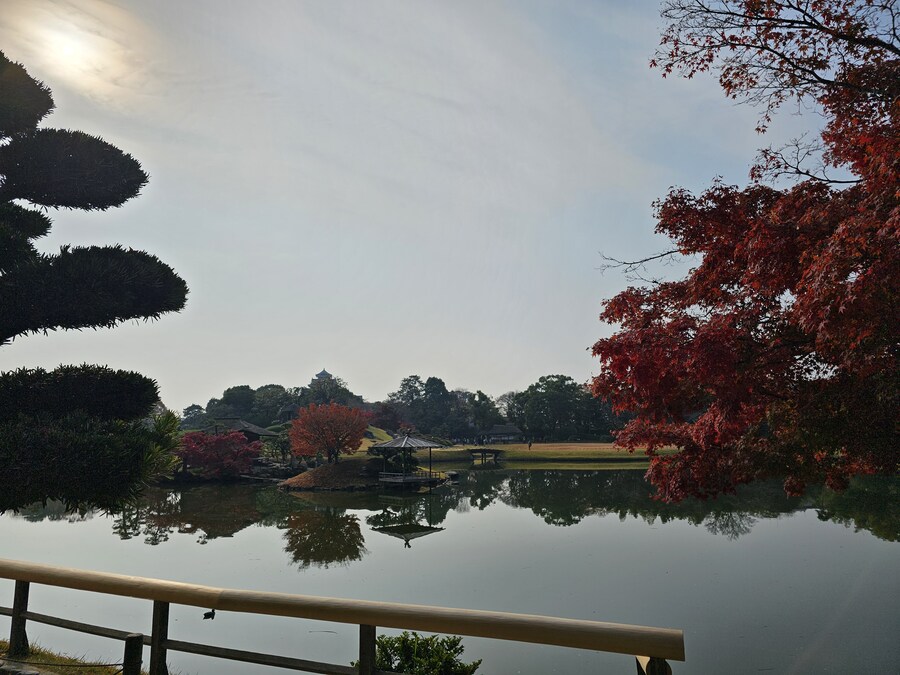 일본 세토내해 늦가을 단풍여행 - 3.오카야마-구라시키_27.jpg