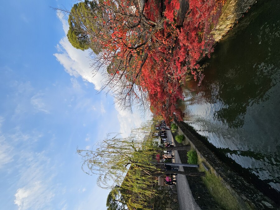 일본 세토내해 늦가을 단풍여행 - 3.오카야마-구라시키_47.jpg