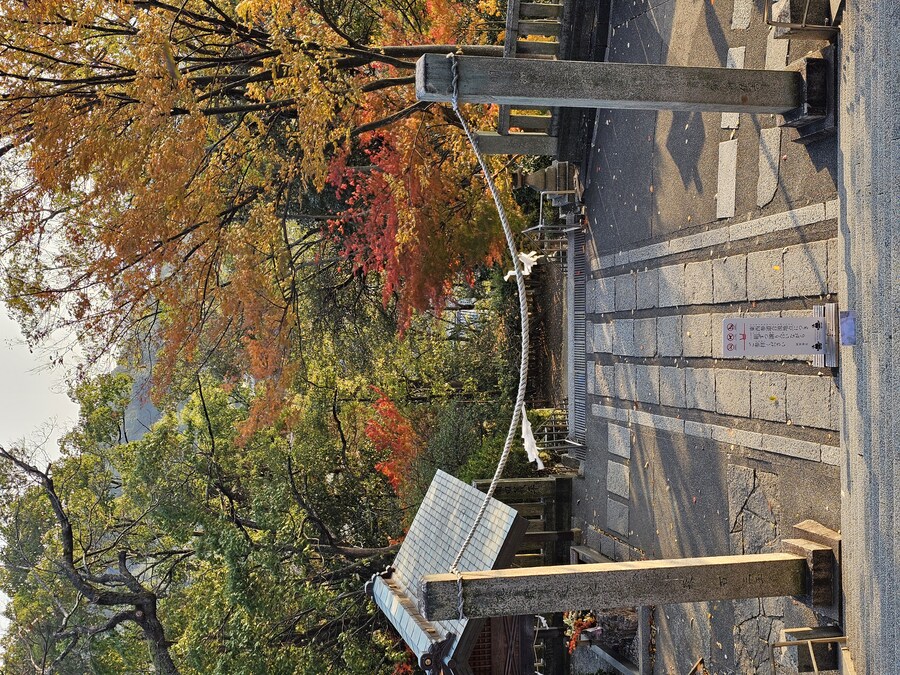 일본 세토내해 늦가을 단풍여행 - 3.오카야마-구라시키_50.jpg