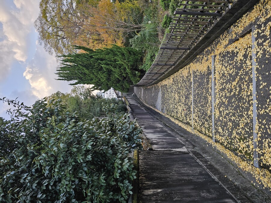 일본 세토내해 늦가을 단풍여행 - 3.오카야마-구라시키_52.jpg