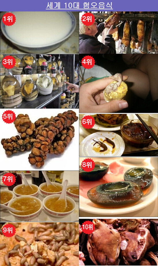 주관적 기억으로 인종차별같았던 서구권 기레기들_4.jpg