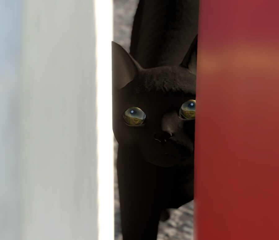 UFO, 괴수, 고양이_26.jpg