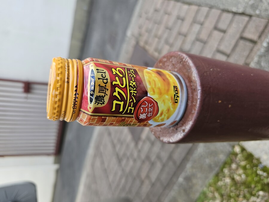 일본 세토내해 늦가을 단풍여행 - 4.오노미치-후쿠오카_40.jpg